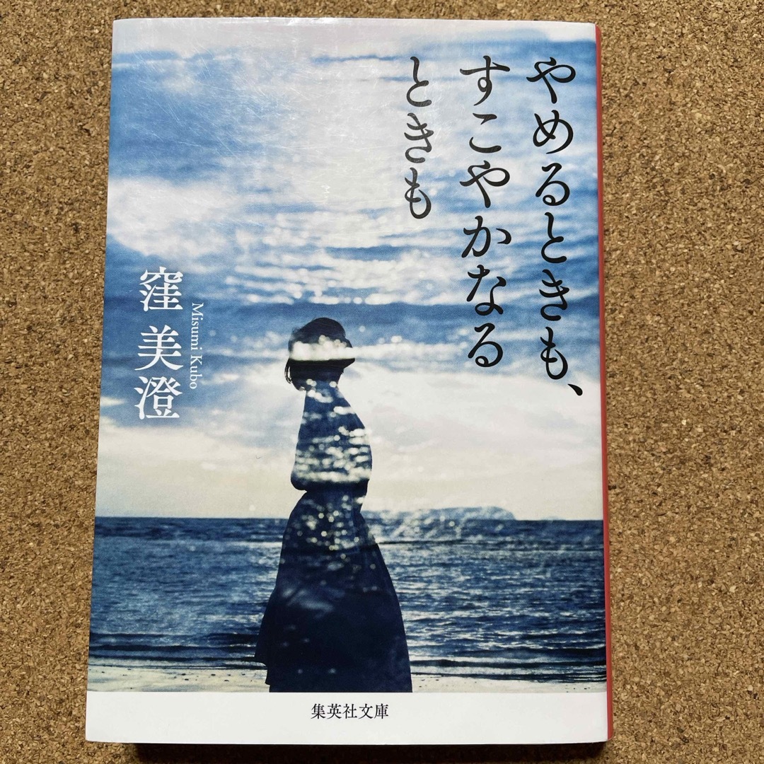 やめるときも、すこやかなるときも エンタメ/ホビーの本(文学/小説)の商品写真