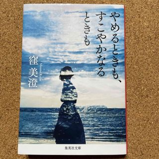 やめるときも、すこやかなるときも(文学/小説)