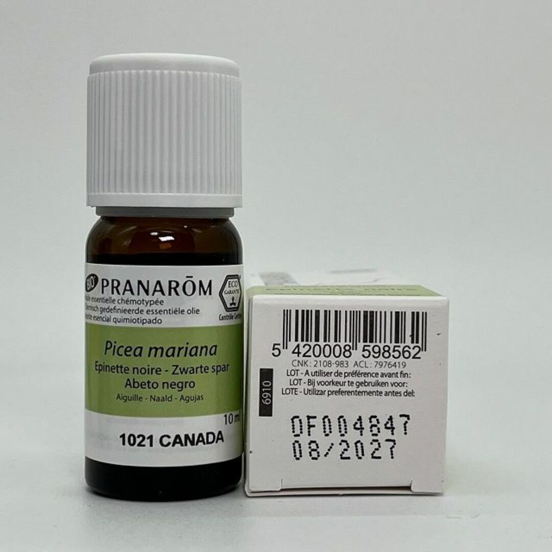 PRANAROM(プラナロム)のプラナロム ブラックスプルース BIO 10ml 精油 PRANAROM コスメ/美容のリラクゼーション(エッセンシャルオイル（精油）)の商品写真