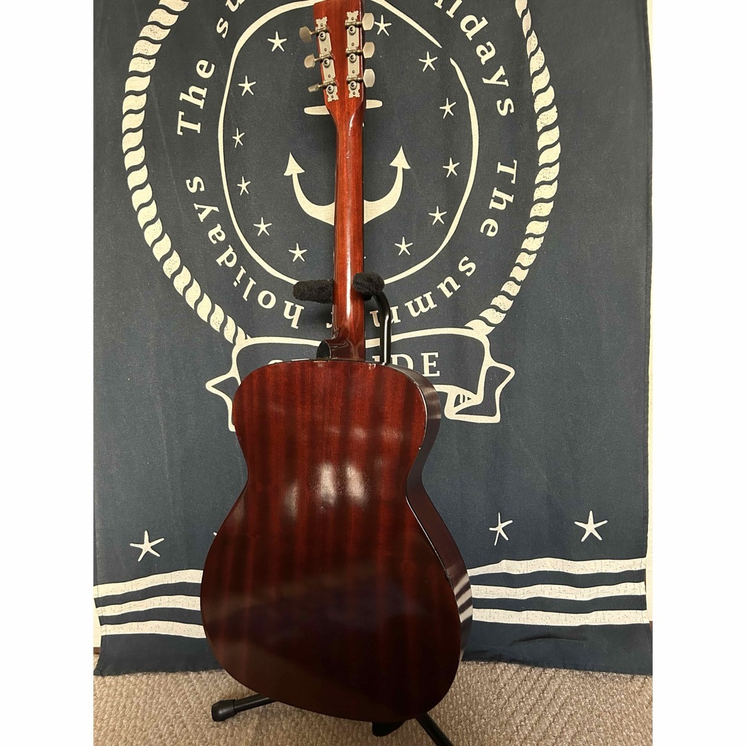 特価❣️70s国産ビンテージ❣️レア単板トップ❣️トムソン F 特価❣️70s国産ビンテージ❣️レア単板トップ❣️トムソン F