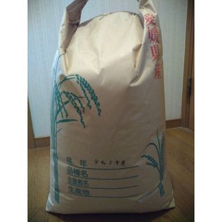 うめぼー様　送込　令和5年産100%純新米　愛媛県産　にこまる　白米約18kg(米/穀物)