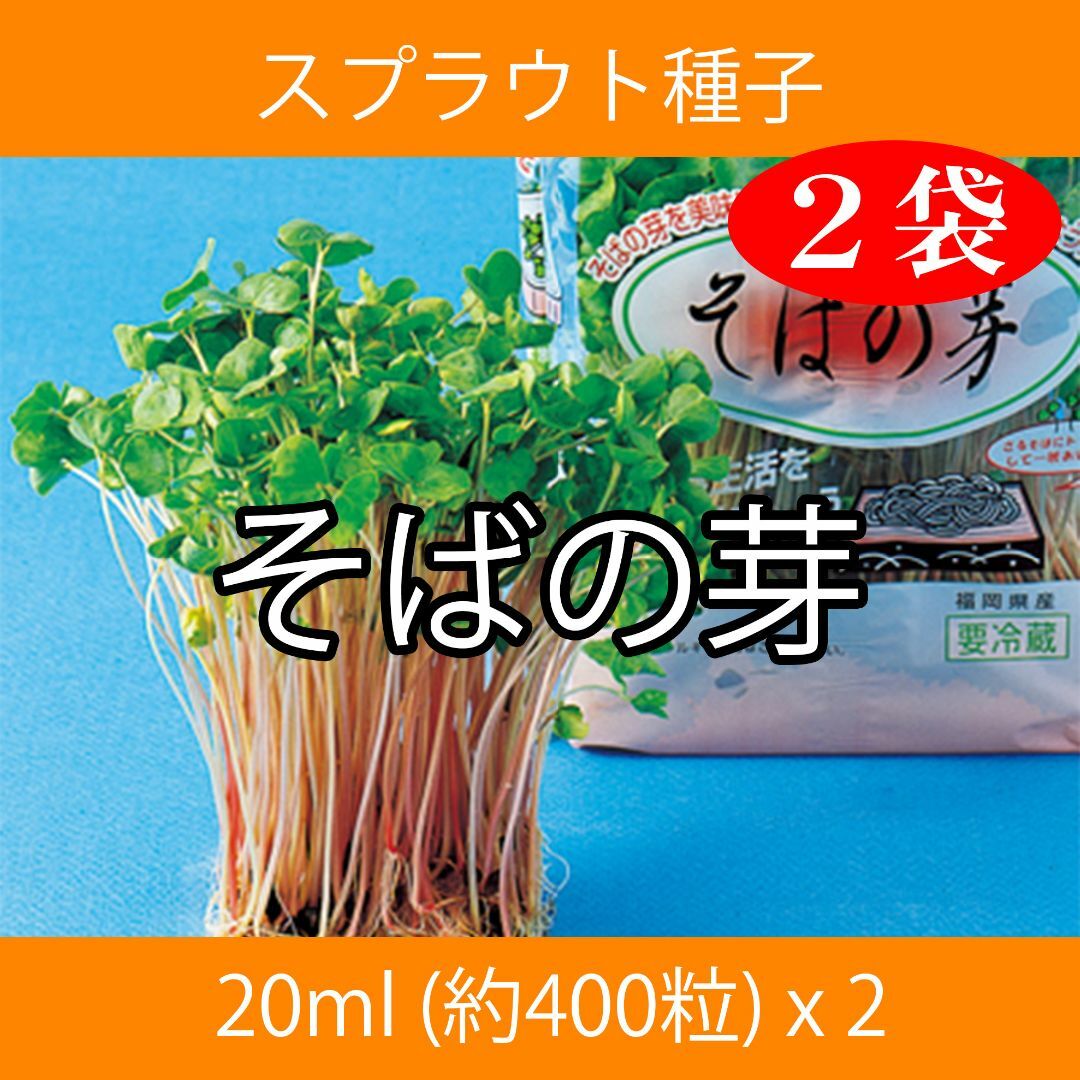 スプラウト種子 S-08 そばの芽 20ml 約400粒 x 2袋 食品/飲料/酒の食品(野菜)の商品写真