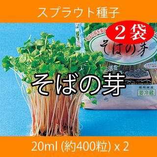 スプラウト種子 S-08 そばの芽 20ml 約400粒 x 2袋(野菜)