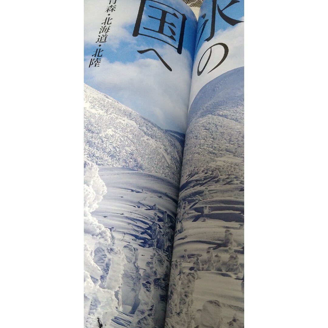 ノジュール2月号 エンタメ/ホビーの雑誌(その他)の商品写真