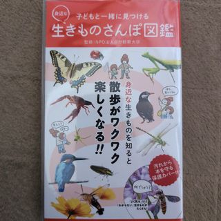 子どもと一緒に見つける身近な生きものさんぽ図鑑(絵本/児童書)