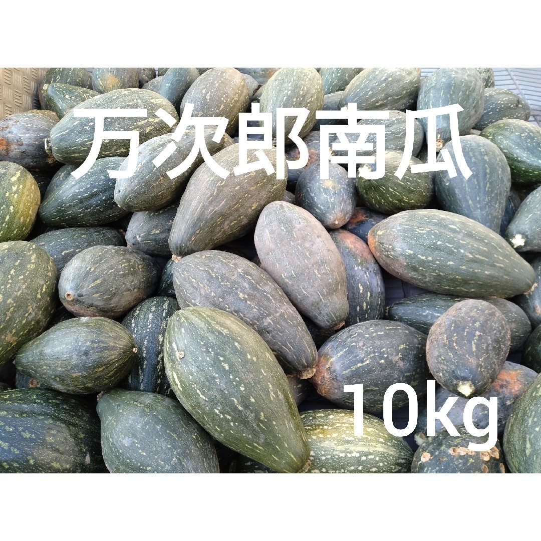 万次郎かぼちゃ　１０kg　６〜８玉　2 食品/飲料/酒の食品(野菜)の商品写真