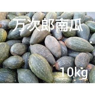 万次郎かぼちゃ　１０kg　６〜８玉　2(野菜)