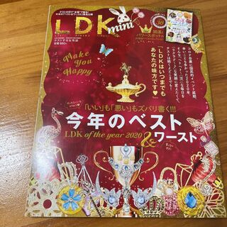 LDK mini 2021年1月号増刊 LDK of the year 2020(美容)