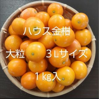 ハウス 金柑 3Lサイズ　宮崎県産　きんかん　１㎏入　宅急便コンパクト(フルーツ)