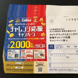 【カルビー】 ポテトデラックス＆シンポテト 応募ハガキ15枚(その他)