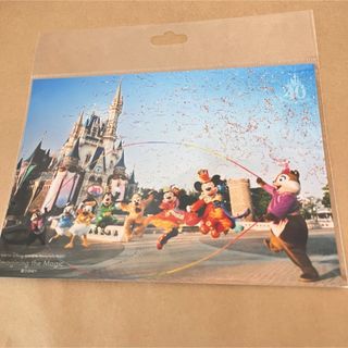 ディズニー(Disney)の40周年グランドフィナーレ　イマジニングザマジック　イマジニング　写真(キャラクターグッズ)