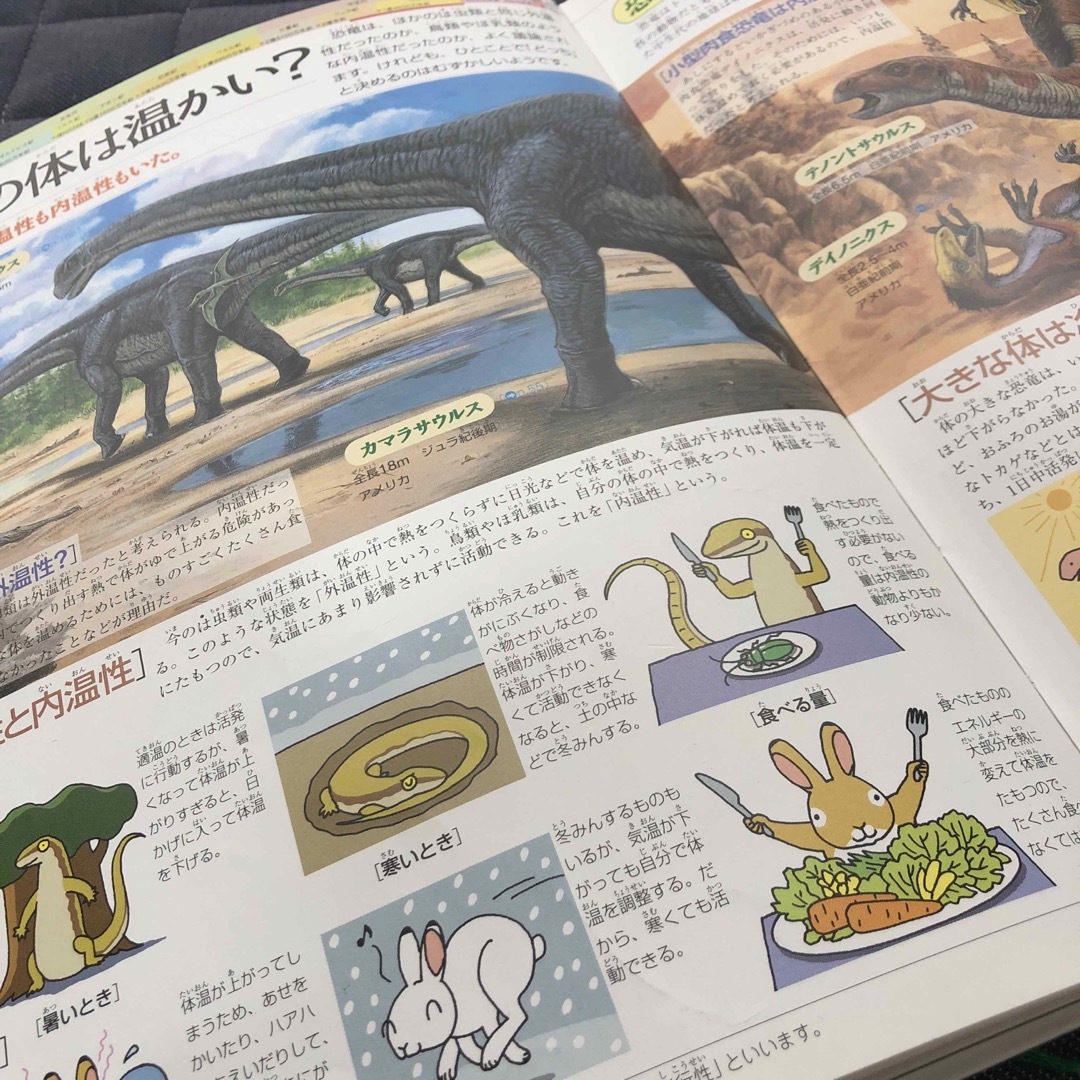 小学館(ショウガクカン)の21世紀こども百科 恐竜館 エンタメ/ホビーの本(語学/参考書)の商品写真