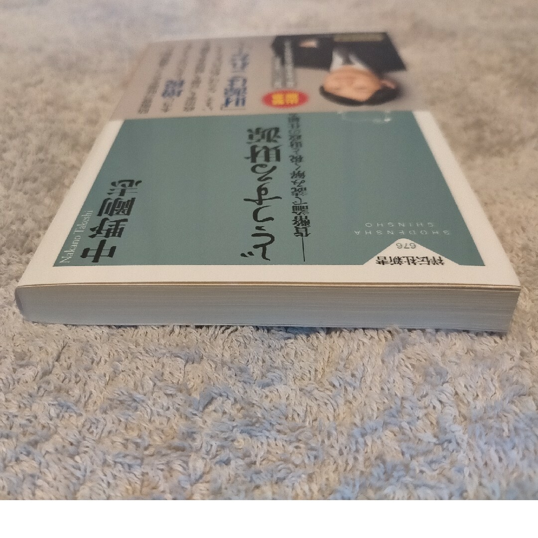 どうする財源　貨幣論で読み解く税と財政の仕組み エンタメ/ホビーの本(その他)の商品写真