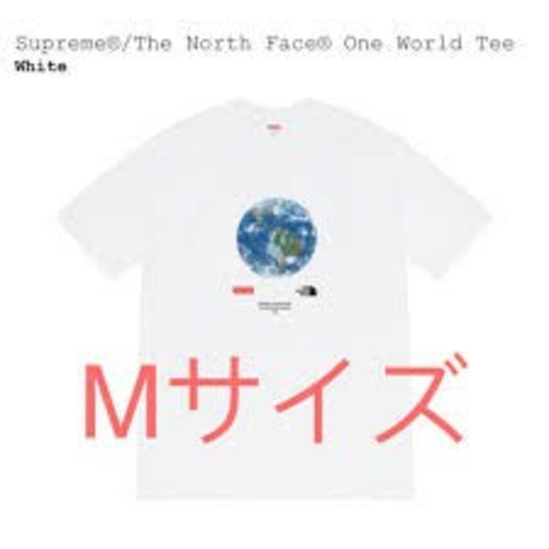 ノースフェイスSupreme/The North Face One World Tee M