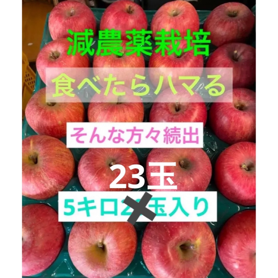 減農薬栽培山形県東根市産一度は食べてみてけろふじりんご贈答ライン小中玉23玉 食品/飲料/酒の食品(フルーツ)の商品写真