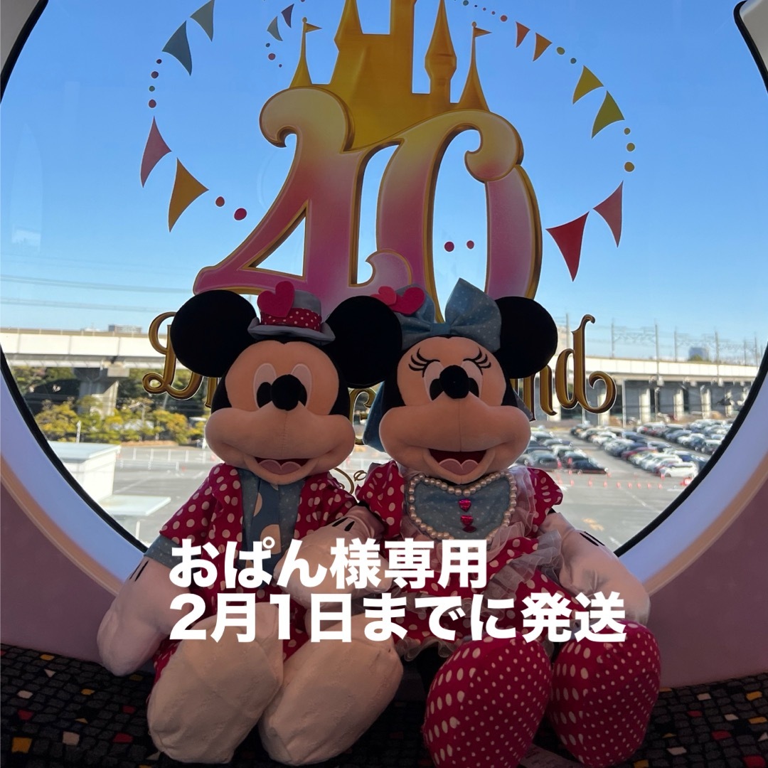 Disney(ディズニー)のSsize(4500)ミニーちゃん 👠💕あり エンタメ/ホビーのおもちゃ/ぬいぐるみ(キャラクターグッズ)の商品写真