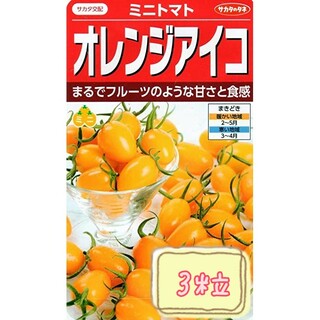 野菜の種【ミニトマト】オレンジアイコ①(野菜)