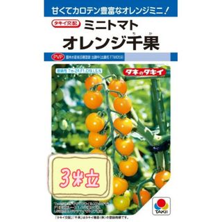 野菜の種【ミニトマト】オレンジ千果①(野菜)