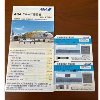 エーエヌエー(ゼンニッポンクウユ)(ANA(全日本空輸))の【匿名配送】ANA株主優待券　2枚セット (その他)