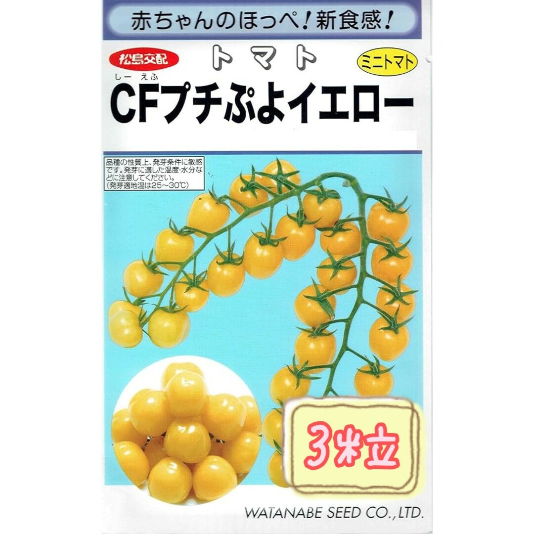 野菜の種【ミニトマト】CFプチぷよイエロー① 食品/飲料/酒の食品(野菜)の商品写真