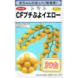 野菜の種【ミニトマト】CFプチぷよイエロー①(野菜)