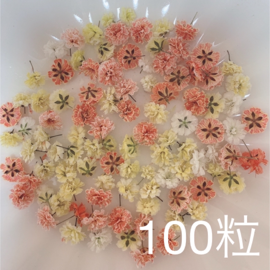 オレンジ系 かすみ草ドライフラワー100粒 ハンドメイドのフラワー/ガーデン(ドライフラワー)の商品写真