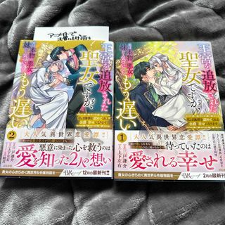 王宮を追放された聖女ですが、実は本物の悪女は妹だと気づいてももう遅い私は価値を認(その他)