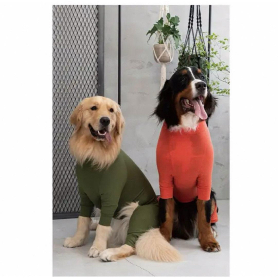 MANDARINE BROTHERS(マンダリンブラザーズ)のマンダリンブラザーズ  スキンタイトスーツ　犬用品　犬服　ペットグッズ その他のペット用品(犬)の商品写真