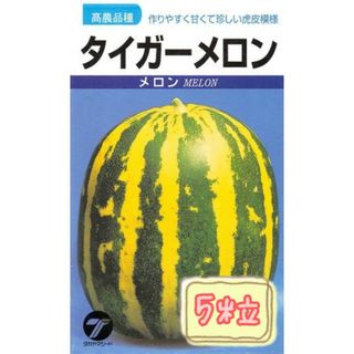 野菜の種【メロン】タイガーメロン①(フルーツ)