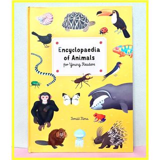 英語絵本　図鑑　大型　Encyclopedia of Animals 百科事典(洋書)