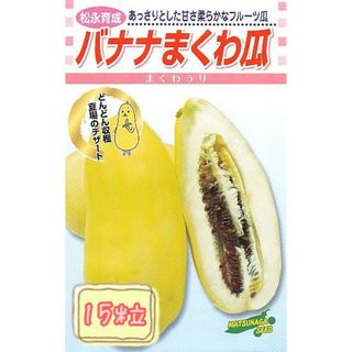 野菜の種【マクワウリ】バナナまくわうり①(野菜)