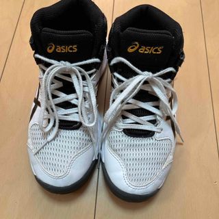 アシックス(asics)のasics バッシュ　DUNKSHOT(その他)