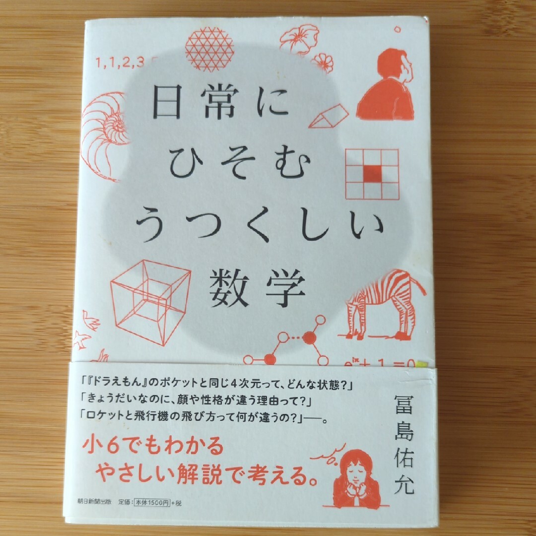 冨島佑允　日常にひそむうつくしい数学 エンタメ/ホビーの本(科学/技術)の商品写真