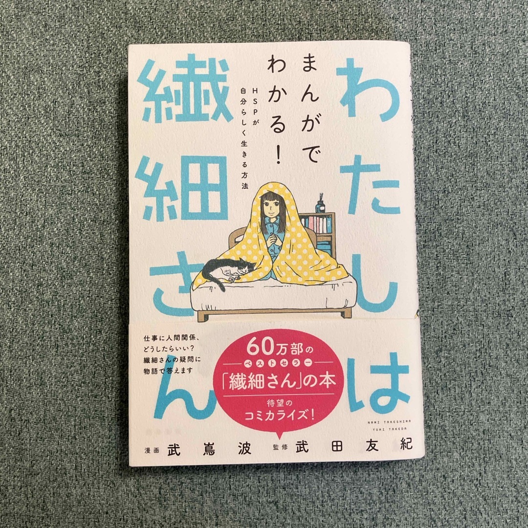 わたしは繊細さん エンタメ/ホビーの本(文学/小説)の商品写真