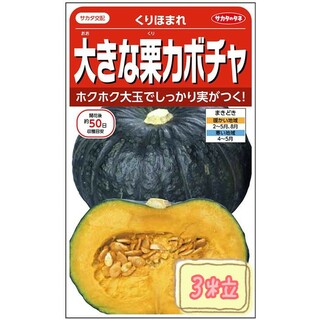 野菜の種【かぼちゃ】くりほまれ①(野菜)