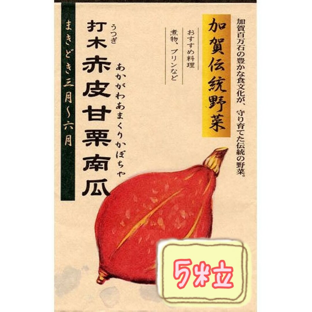 野菜の種【かぼちゃ】打木赤皮甘栗かぼちゃ① 食品/飲料/酒の食品(野菜)の商品写真