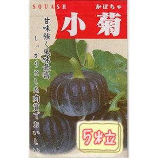 野菜の種【かぼちゃ】小菊①(野菜)