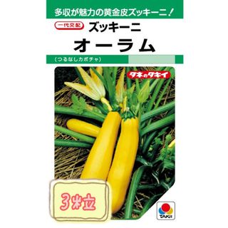 野菜の種【ズッキーニ】オーラム①(野菜)