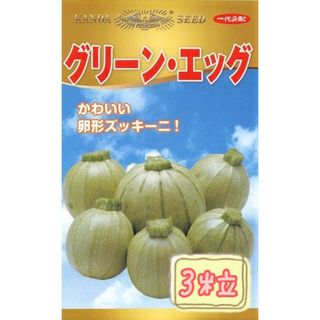 野菜の種【ズッキーニ】グリーンエッグ①(野菜)