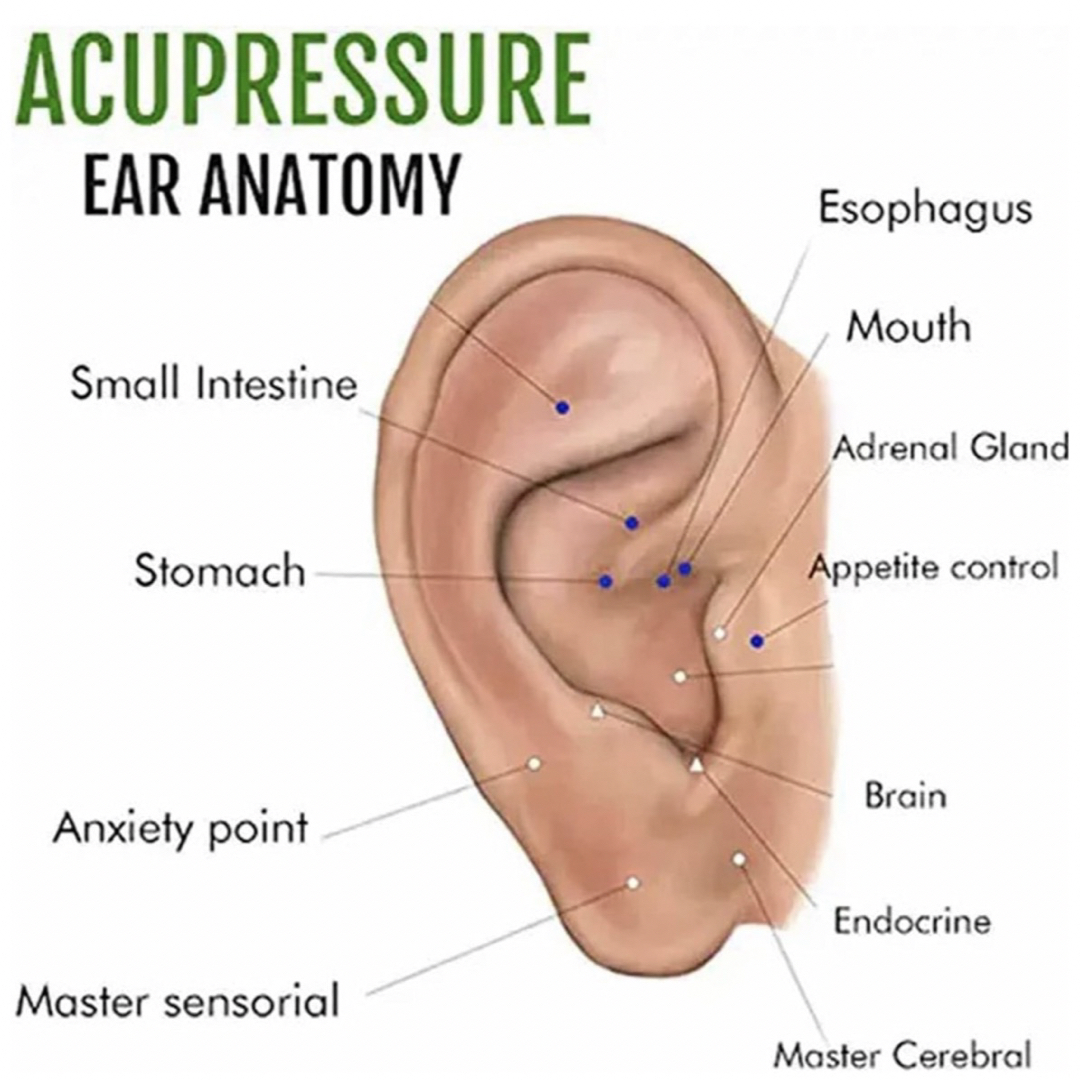 耳型リンパ＆スリムピアス ズニス指圧痩身ピアス 樹脂ピアス ファーストピアス メンズのアクセサリー(ピアス(両耳用))の商品写真
