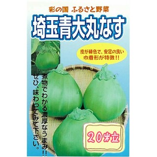野菜の種【ナス】埼玉青大丸なす①(野菜)