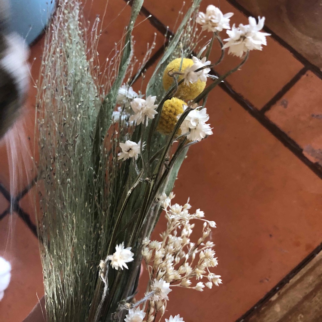 花材　春らしいセット4種　アレンジメント　スワッグ等に ハンドメイドのフラワー/ガーデン(ドライフラワー)の商品写真