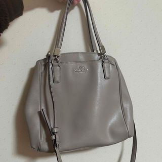 コーチ(COACH)のcoach グレージュ　バッグ　ショルダー(ショルダーバッグ)