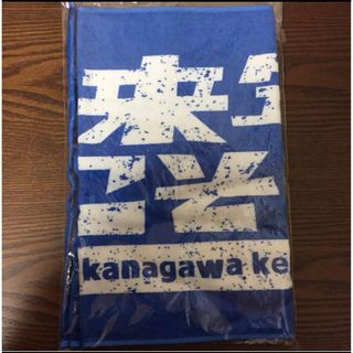 神奈川県民 ホールイベント AKB48 フェイス タオル(アイドルグッズ)