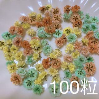 オレンジ×ミントグリーン系 かすみ草ドライフラワー100粒(ドライフラワー)