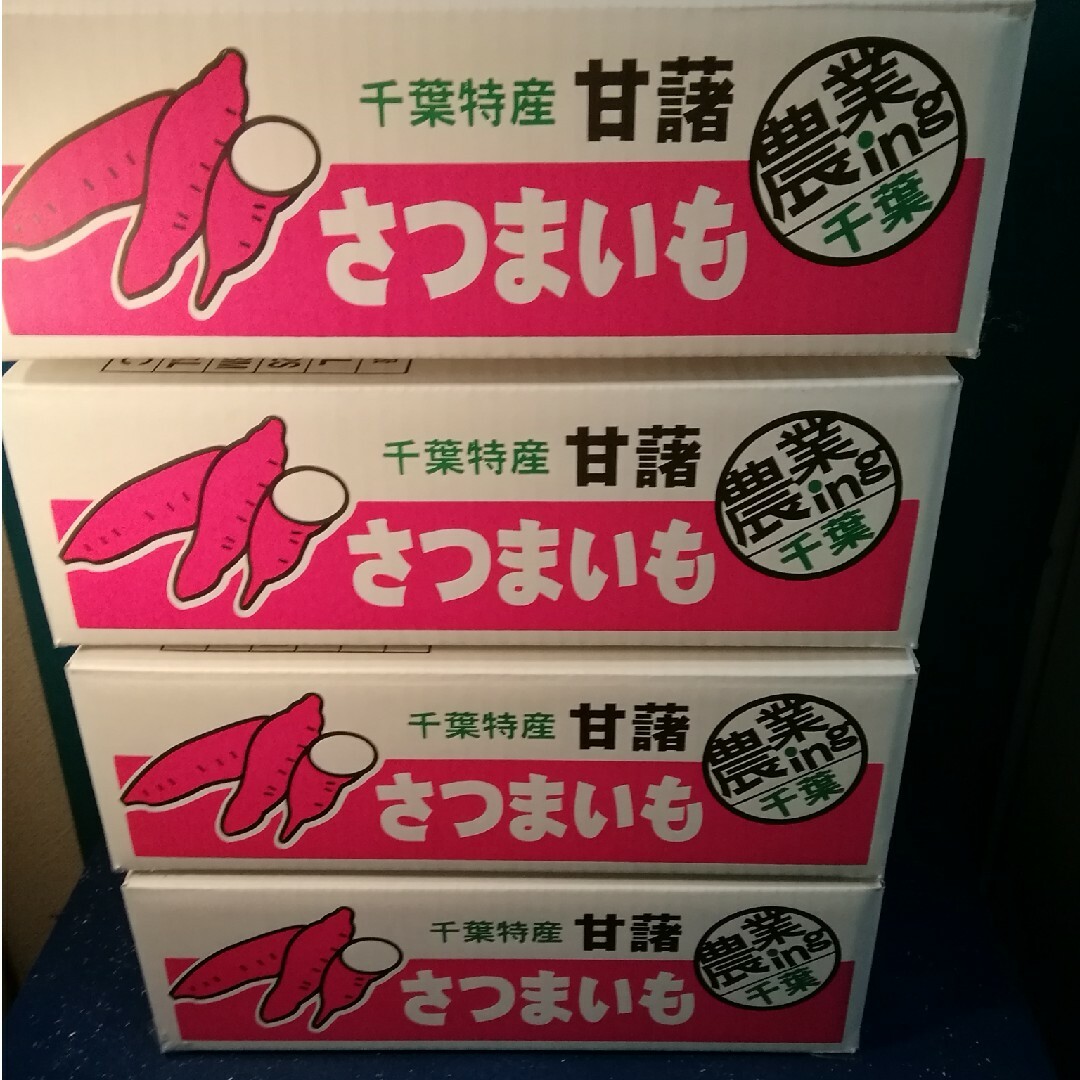 またゆし様専用　超お得!!訳☆オーダー☆貯蔵品シルクB品目一杯約６K四箱です。 食品/飲料/酒の食品(野菜)の商品写真