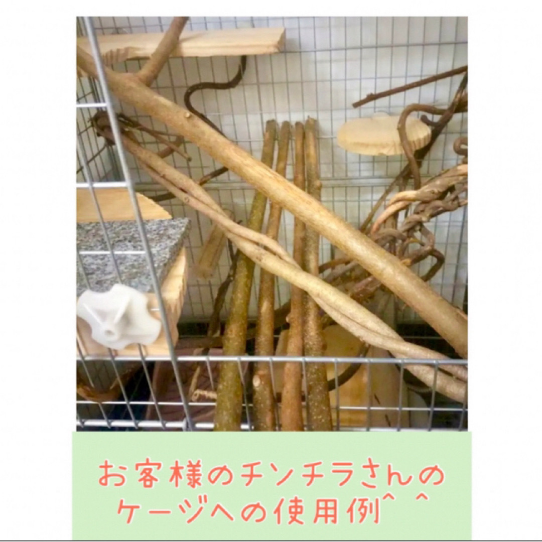 キウイのツル　段ボール箱いっぱい♪② その他のペット用品(小動物)の商品写真