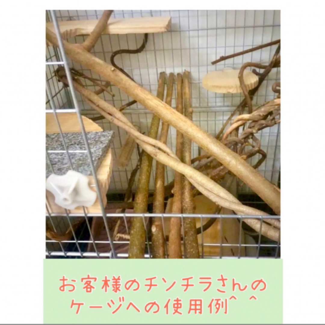 キウイのツル　段ボール箱いっぱい♪③ その他のペット用品(小動物)の商品写真