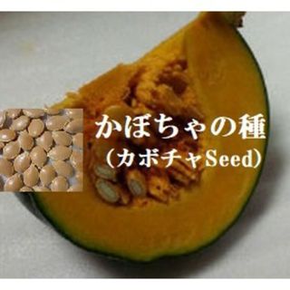 RD750  かぼちゃの種30粒　カボチャ種子　家庭菜園　野菜のたね　南瓜のタネ(野菜)