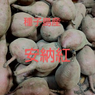 種子島産安納紅Sサイズ1キロ(野菜)